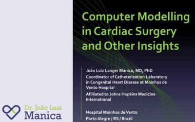 Computer Modelling in Cardiac Surgery and Insights